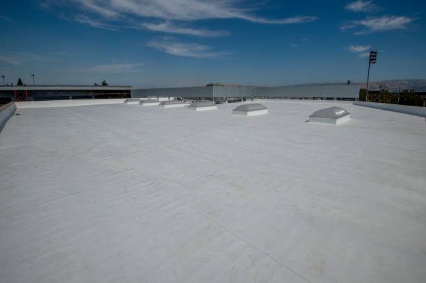 Best Roof Leak Repair  in Providence, KY